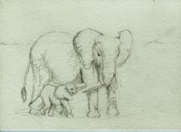 Elephant in tow
